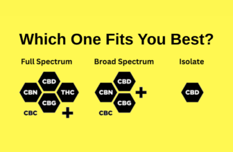 Which One Fits You Best?