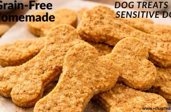 Grain-Free Homemade Dog Treats for Sensitive Pups