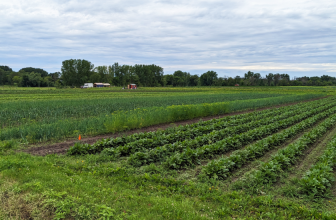 Statewide survey shows Minnesota farmers need more support to build climate resilience