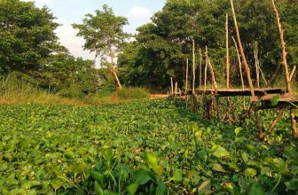 How To Book Your First Luxury Mekong River Cruise