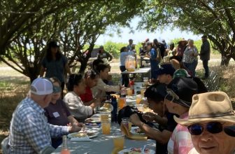 “Once you see that, you can never look back:” farmers and researchers share compost and soil health benefits at field days | CalCAN