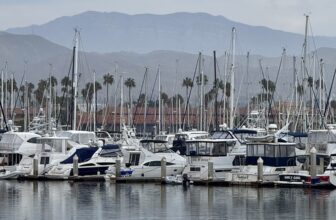 Harbor Cruise | bleuwater