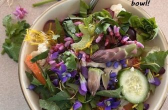 The Essential Herbal Blog: Wild Salad in Spring
