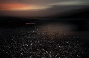 Justin Pumfrey: Before the World Has a Name