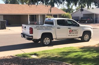 Essential Strategies to Keep Your Home Pest-Free in 2026