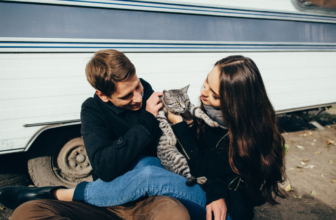 Layout Tips, Litter Boxes & Heat