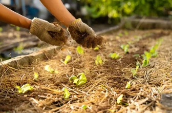 What to Add to the Field in March