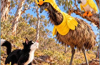 Tweety & Sylvester Down Under: two new studies exonerate cats