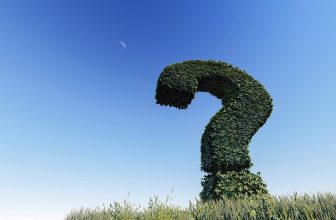 Questions to Ask Before Buying CBD Products 
– NuHemp CBD