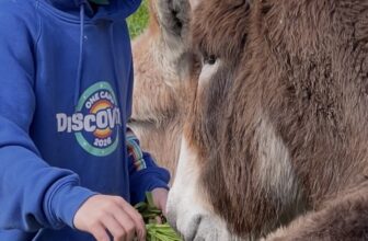 Eastern Hills Scouts Tour