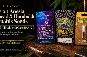 Save on Anesia, Bighead & Humboldt Cannabis Seeds