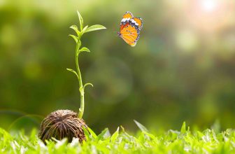 Your Accounting Team Should Be Driving Your Business Forward. Is Yours?