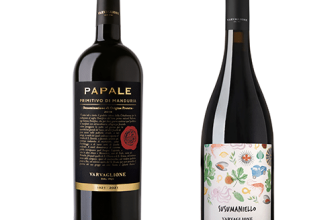 Review: Varvaglione 2023 Susumaniello Rosso Puglia and 2022 Papale Primitivo di Manduria DOP Linea Oro