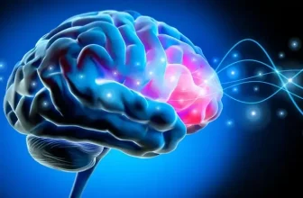 What is ‘Brain Rot’? And 5 Habits to Prevent It!