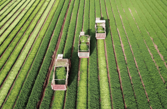 Who Are the Top Agriculture Executive Search Firms?