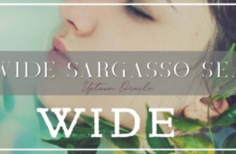 Wide Sargasso Sea By Jean Rhys 🌊 A Haunting Reimagining Of The Woman In The Attic