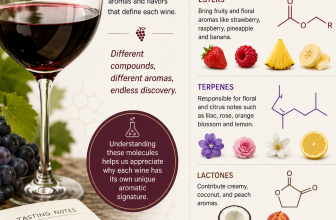 Understanding the Chemistry of Wine Aromas