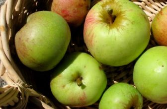 Feeding My Enthusiasms: Grandad’s Applesauce Cake