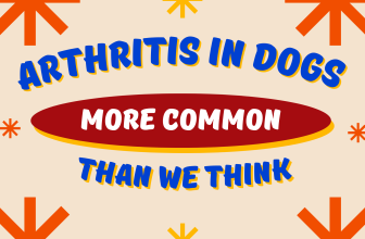 Arthritis in Dogs More Common Than We Think