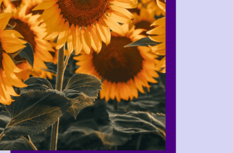August 2026 Breakdown: Happy Planner Season!