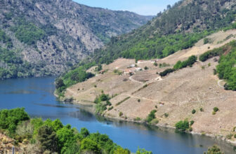 Ribeira Sacra, Wines of Galicia: Heroic Viticulture in the Cañón do Sil – Wine blog UK