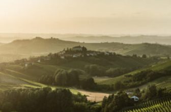 Welcome to the World, Asti Rosato! – Wine, Wit, and Wisdom