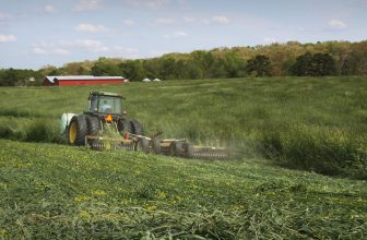 Keeping the “Farm” in the Farm Safety Net
