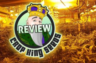 Unleash the King in Your Garden: An Updated Review of Crop King Seeds