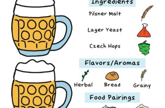 Everything You Need To Know About Czech Premium Pale Lager