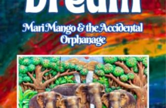 Mari Mango and the Accidental Orphanage