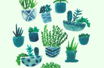 It’s Growing season!