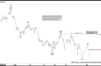 Five‑Swing Elliott Wave Structure from August 28 High Projects 24,350 – Rehana William |Financial Consultant _Forex_Gold Xauusd| Fund Manager
