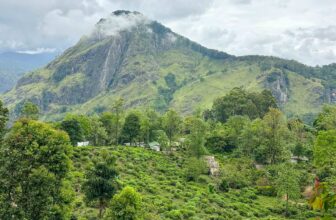 Best Things to do in Ella, Sri Lanka