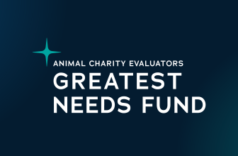 Announcing the first distribution from ACE’s Greatest Need Fund