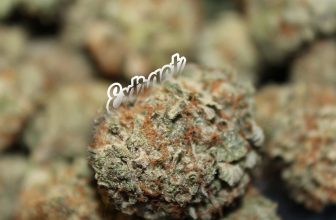 Trends We Expect to See in Canadian Cannabis 2023