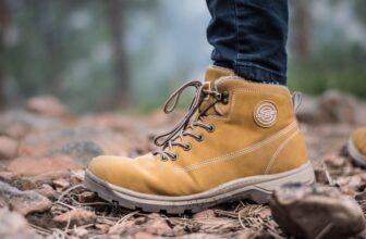How To Clean Dog Poop Off Shoes?