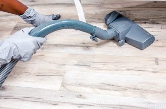 House Flies in Singapore – Greencare Pest Control & Cleaning