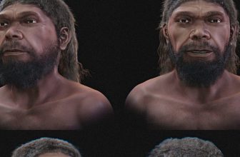 The 315,000-Year-Old Homo sapiens Face Is Not One Person