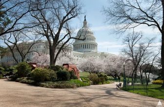 The Democratic Center Holds—For Now