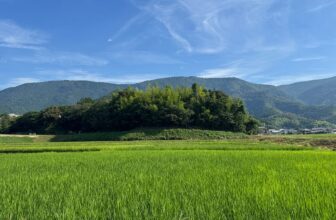 Sake Industry News. Issue #167.