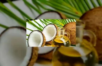 Best Oils for Hair Growth in Summer: Benefits of Coconut, Amla, Castor and Jojoba Oils