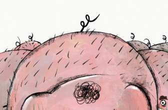 Three Picture Books from Spain – World Kid Lit
