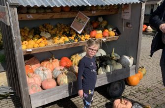 Local Pumpkins 2022 – Mama Flora