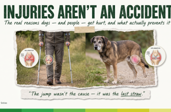 Injuries Aren’t an Accident — Dr. Peter Dobias – Dr. Dobias International