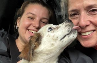 PETA Urgently Seeks Adopters, Fosters for 10 Dogs Rescued From Chains and Pens
