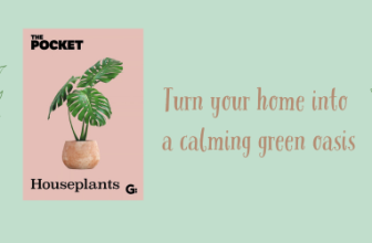 Bring Your Home to Life with Houseplants