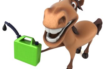 Betting on Oil and Treasuries