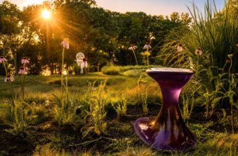 Paula Hayes’s First Public Garden Is 36 Minutes From Grand Central
