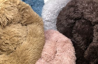 Top 5 Dog Beds for Ultimate Comfort – Pet Life