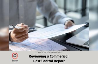 How to Read a Commercial Pest Control Report in Singapore